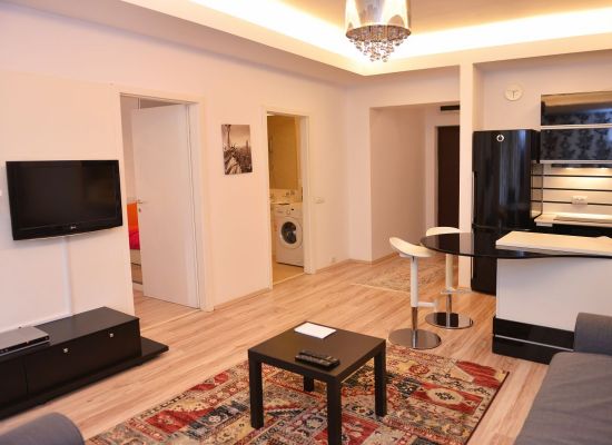 Apartment one bedroom area Aviatiei Bucharest, Romania - HERASTRAU 7 - Picture 4